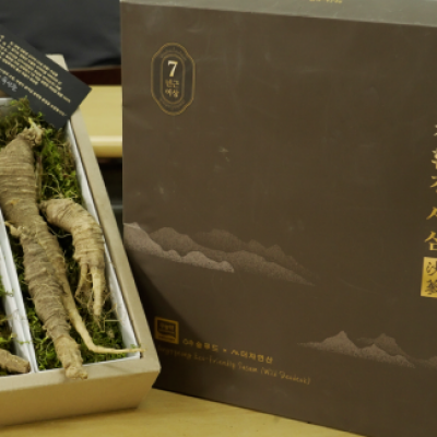 양평 친환경 사삼 (산더덕)